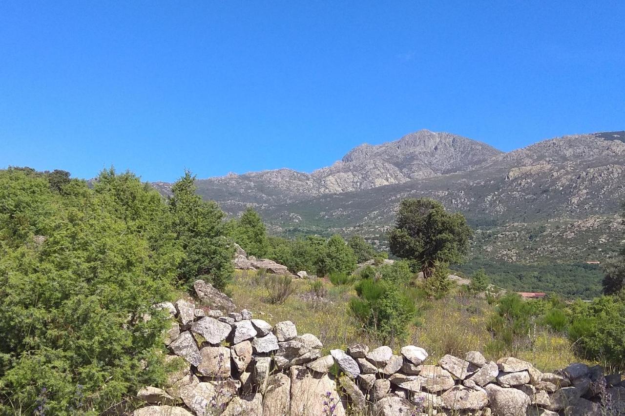 Acogedora Casa Rural En La Sierra De Madrid Mataelpino Buitenkant foto