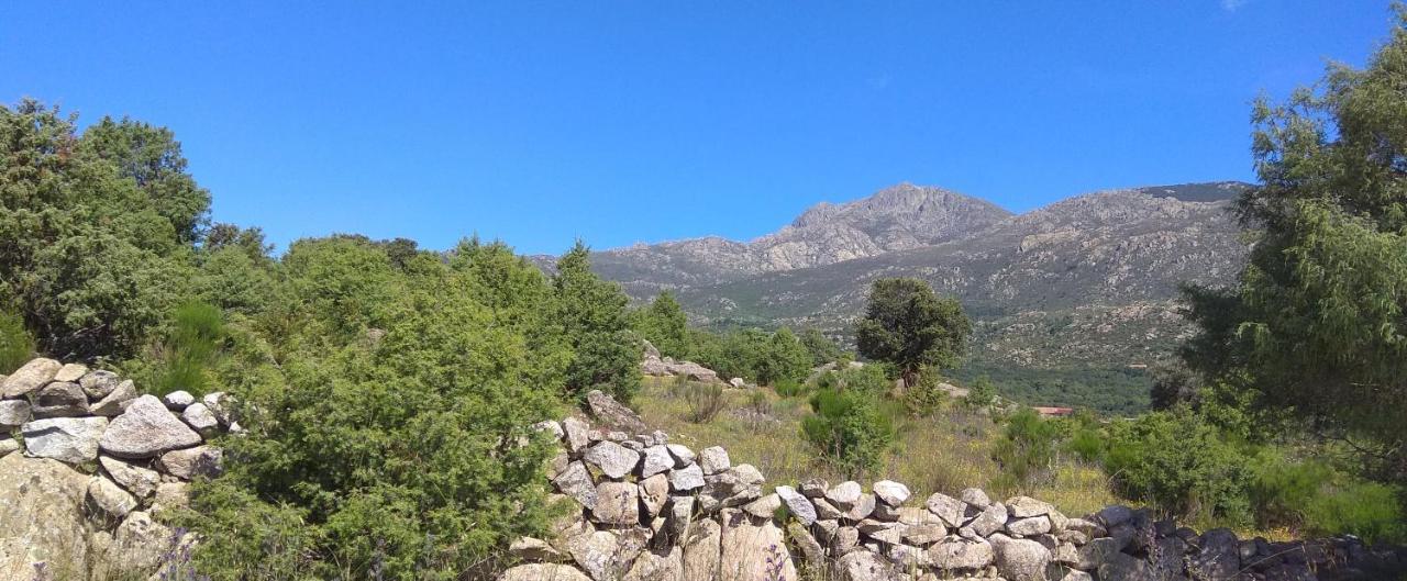 Acogedora Casa Rural En La Sierra De Madrid Mataelpino Buitenkant foto